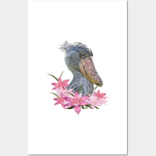 Shoebill Posters and Art